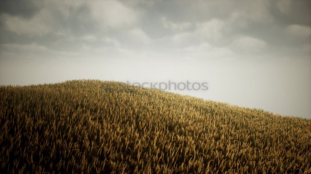 Similar – Image, Stock Photo loner Nature Landscape Sky