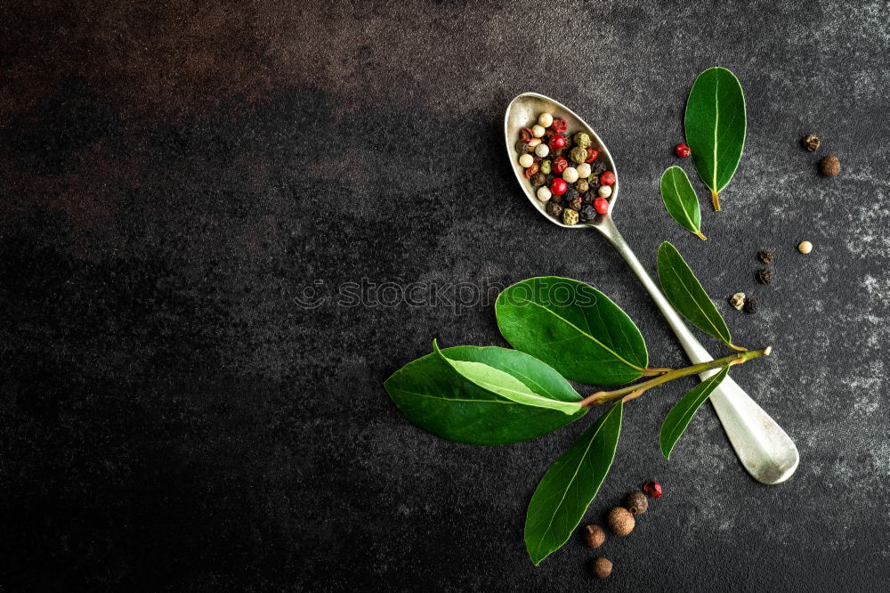 Similar – Image, Stock Photo Herbs sage tea on pile of books and old scissors