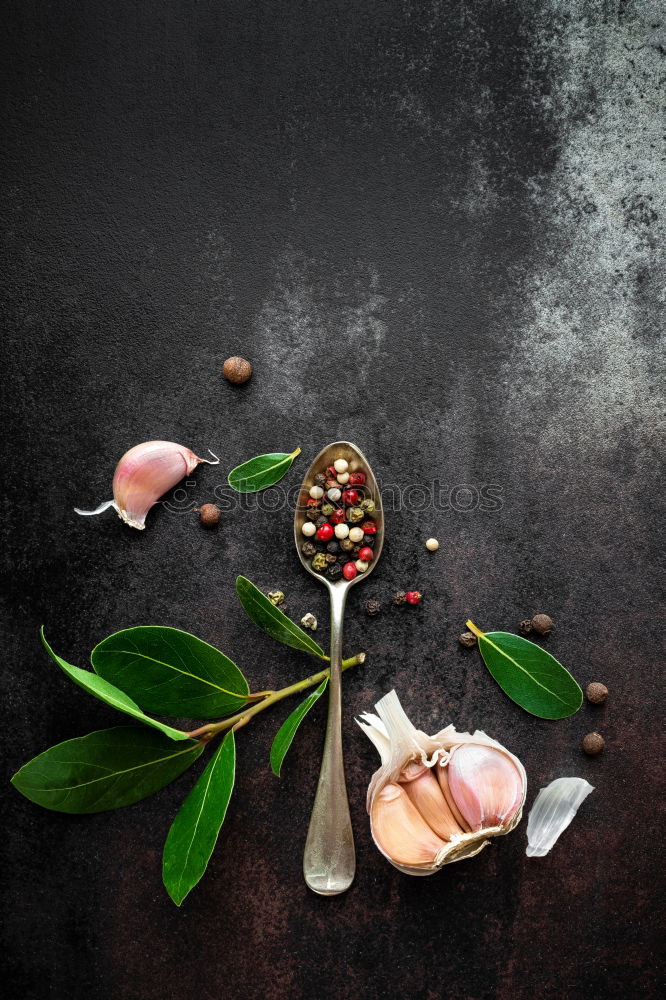 Similar – Image, Stock Photo Herbal tea with sage