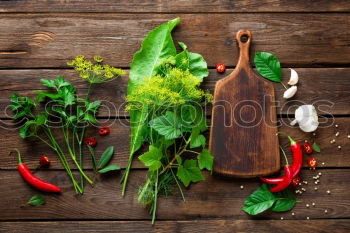 Similar – Image, Stock Photo Melissa leaf or lemon balm