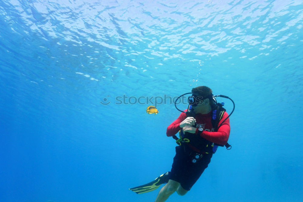 Similar – Foto Bild Diver with Bubbles III