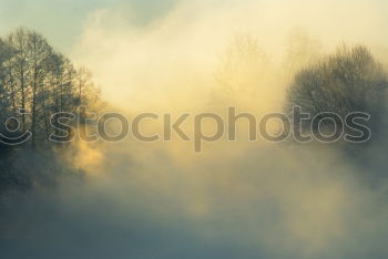 Similar – Image, Stock Photo green Lifestyle Sky Clouds