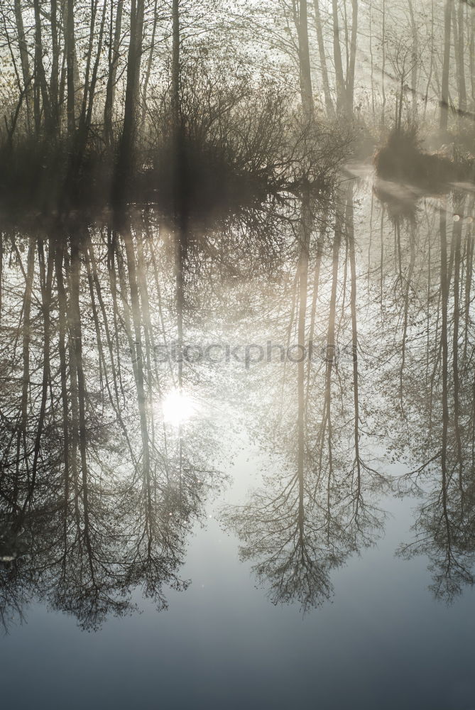 Similar – Image, Stock Photo Peaceful landscape in Ireland