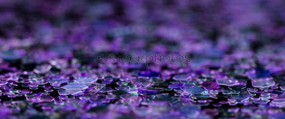 Similar – Image, Stock Photo violet summer Lavender
