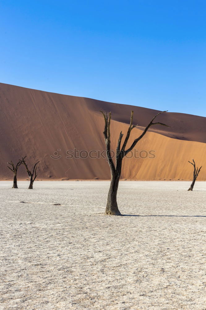 Similar – Image, Stock Photo Sandstorm in Sossusvlei #3