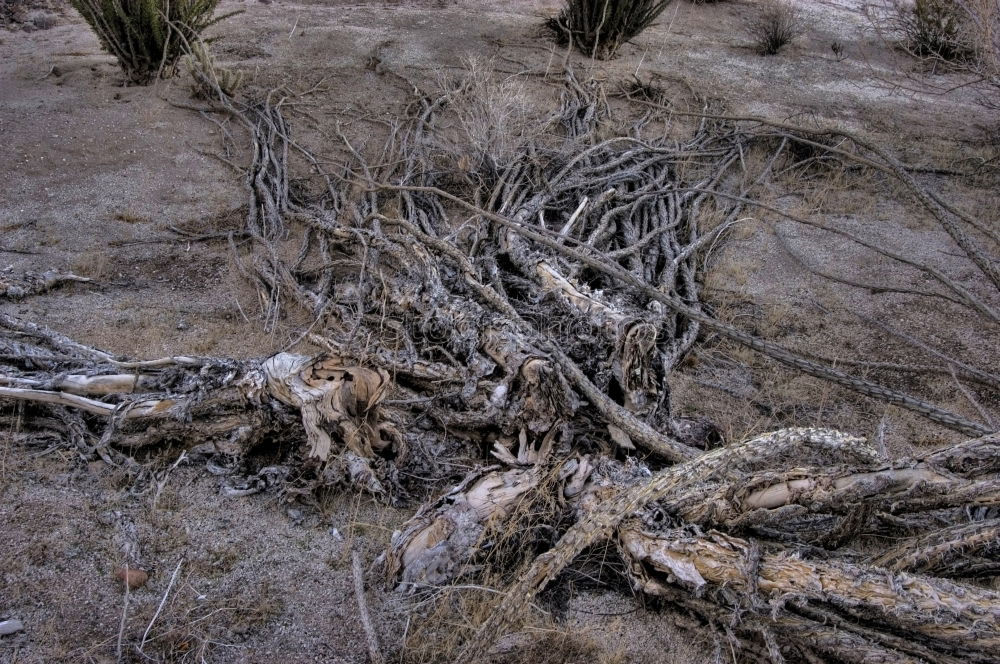 Similar – kaputte Wagenräder Holz