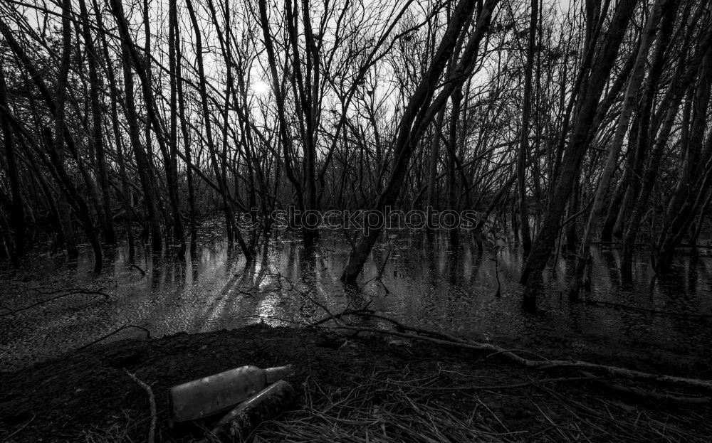 Similar – drug marsh Marsh Mud Bog