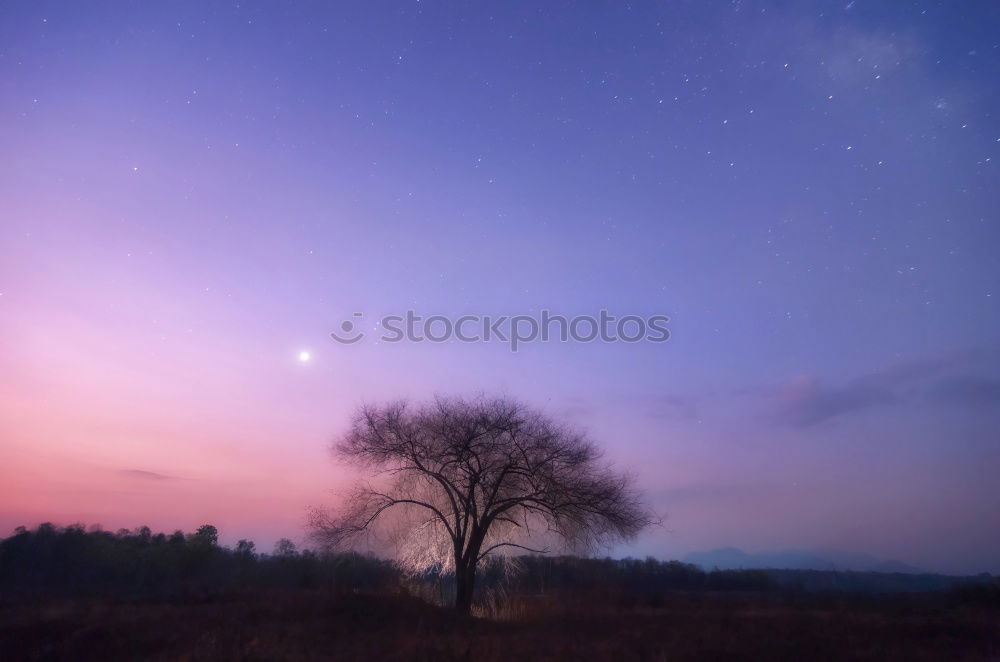 Similar – Image, Stock Photo The sky over Berlin