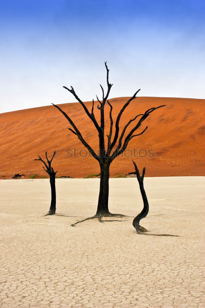 Similar – Deadvlei (Namibia)