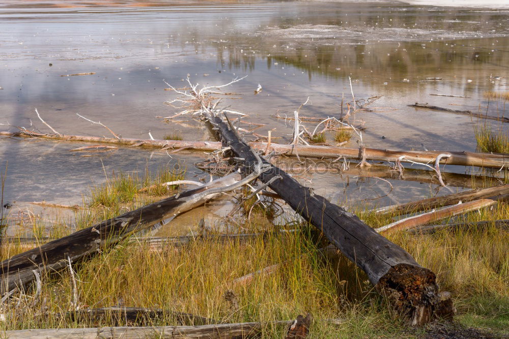 Similar – Image, Stock Photo Iceland Environment Nature