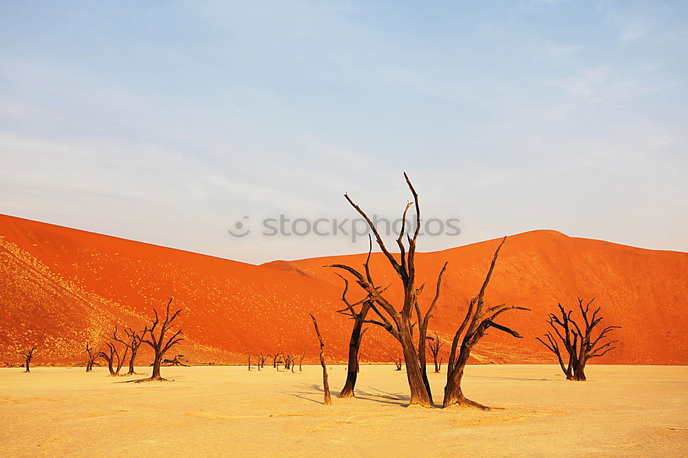 Similar – Deadvlei (Namibia)