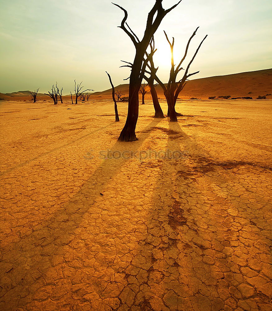 Similar – Deadvlei (Namibia)