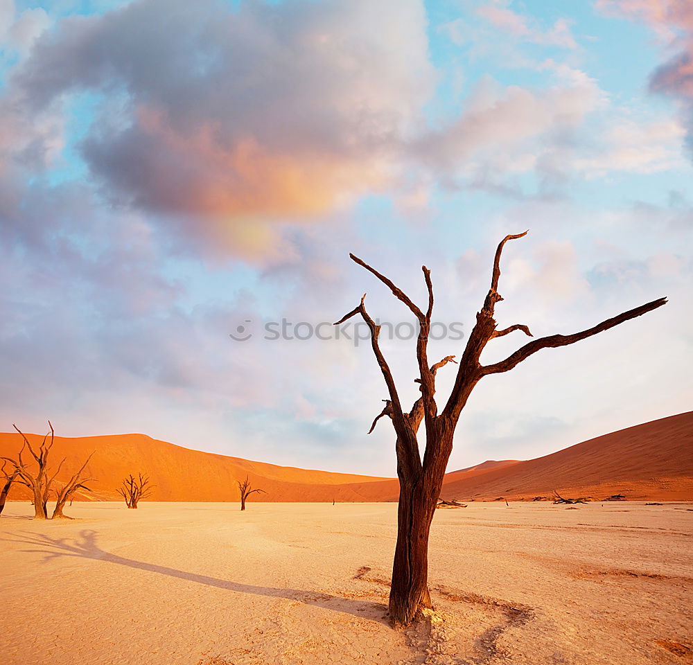 Similar – Deadvlei (Namibia)