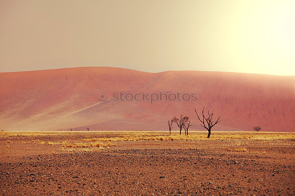 Similar – Image, Stock Photo Africa Environment Nature