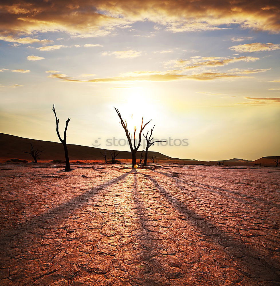 Similar – Light and shadow Desert