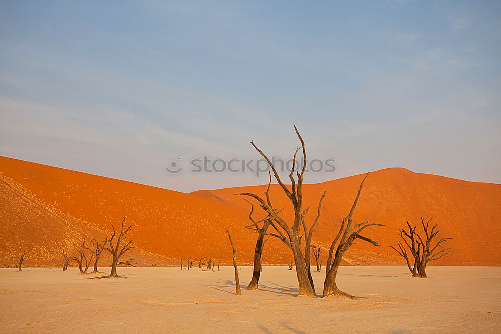 Deadvlei (Namibia)