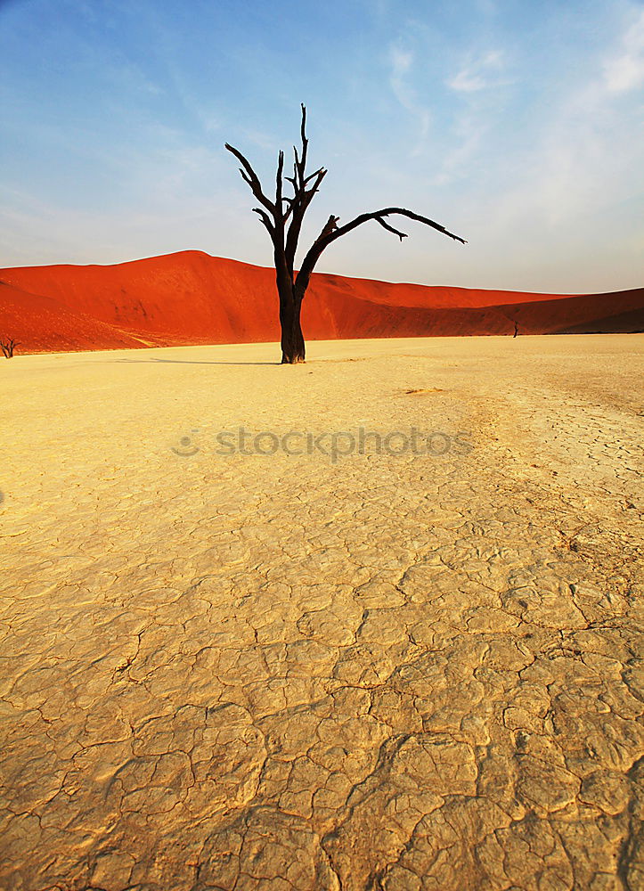 Similar – Deadvlei (Namibia)