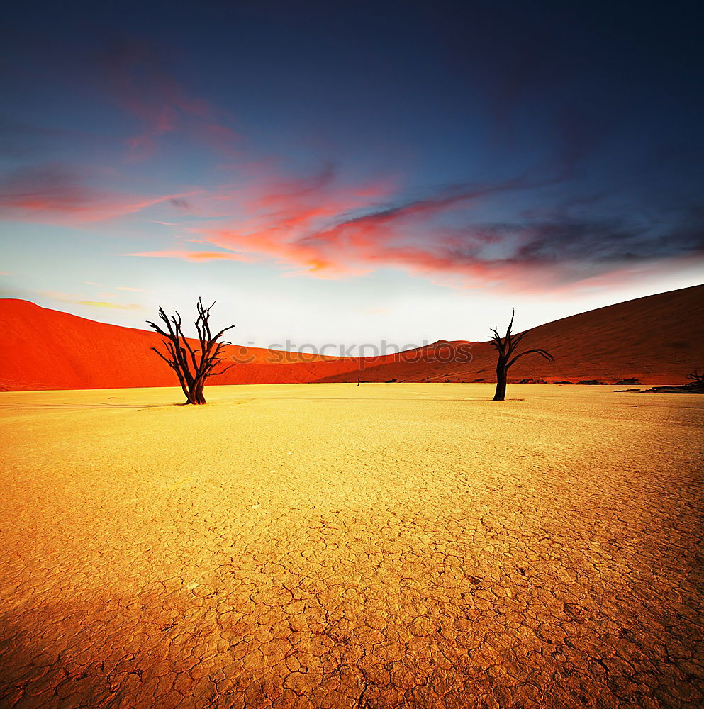 Deadvlei (Namibia)