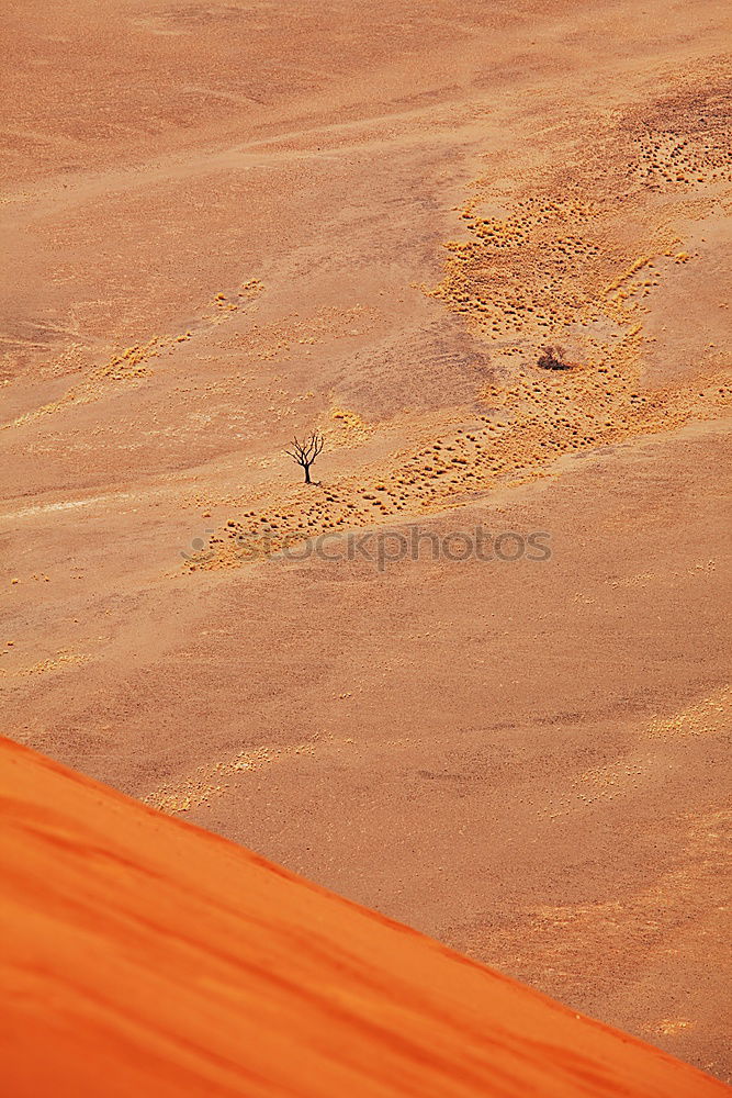 Similar – Image, Stock Photo midday Far-off places