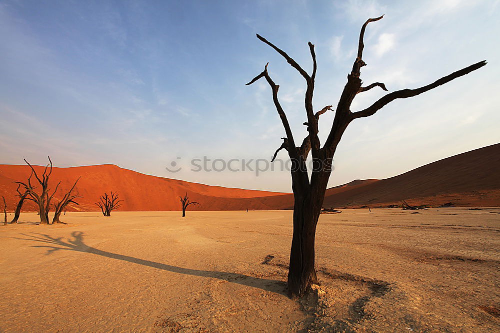 Similar – Deadvlei (Namibia)