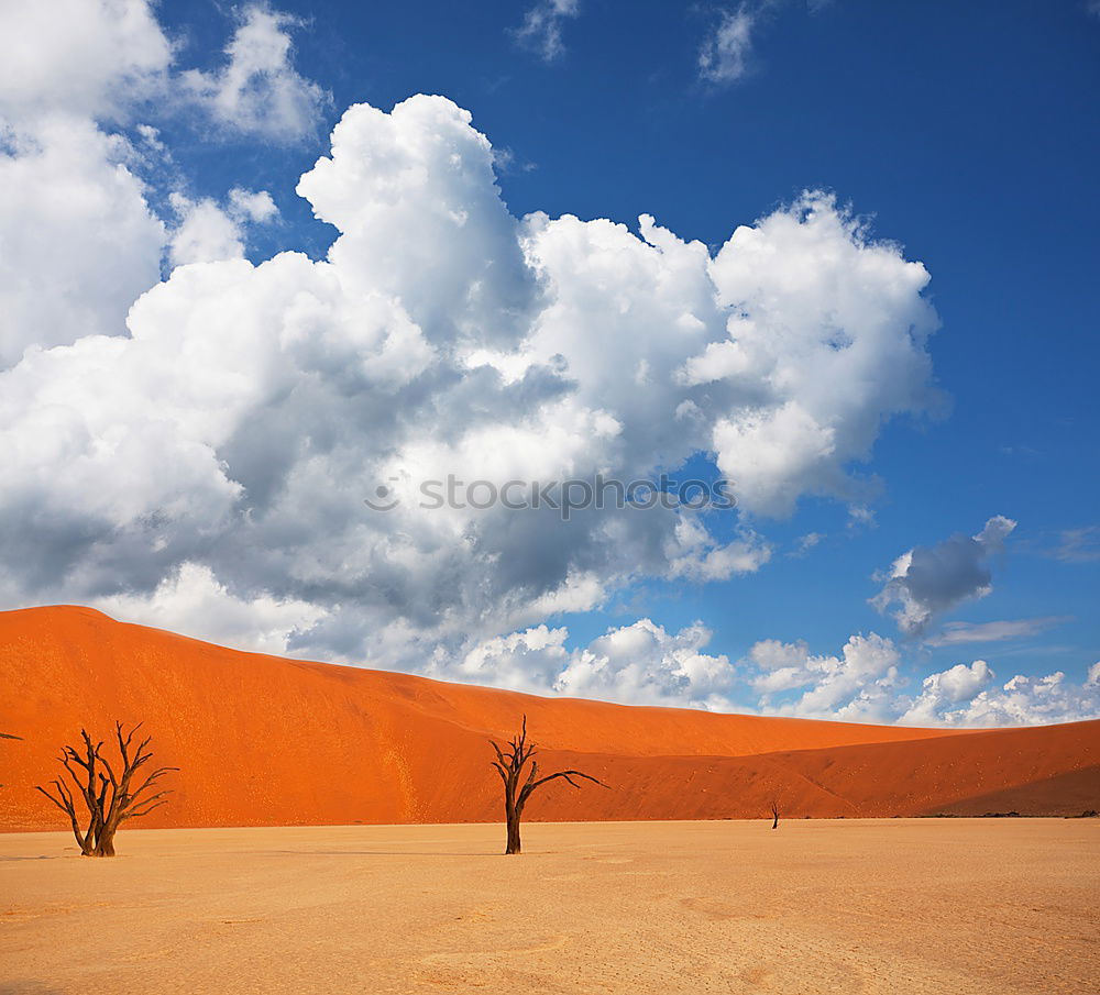 Similar – Deadvlei (Namibia)