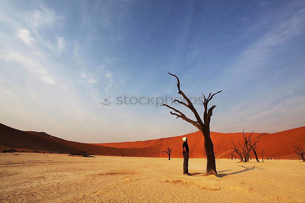 Similar – Deadvlei (Namibia)