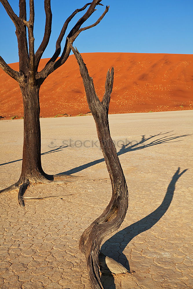 Similar – Deadvlei (Namibia)