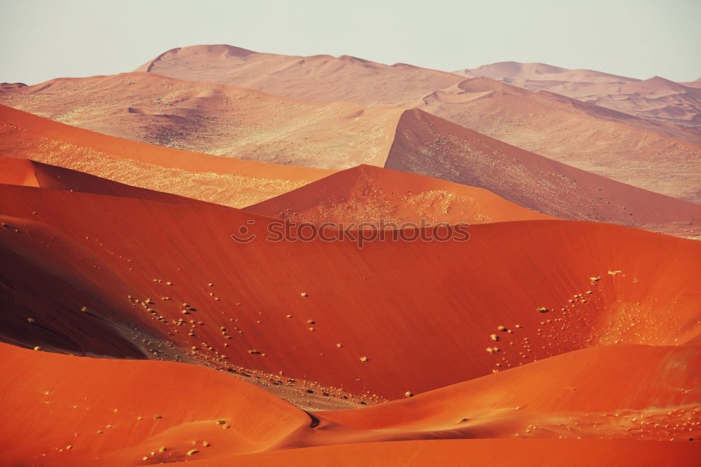 Similar – Image, Stock Photo desert landscape