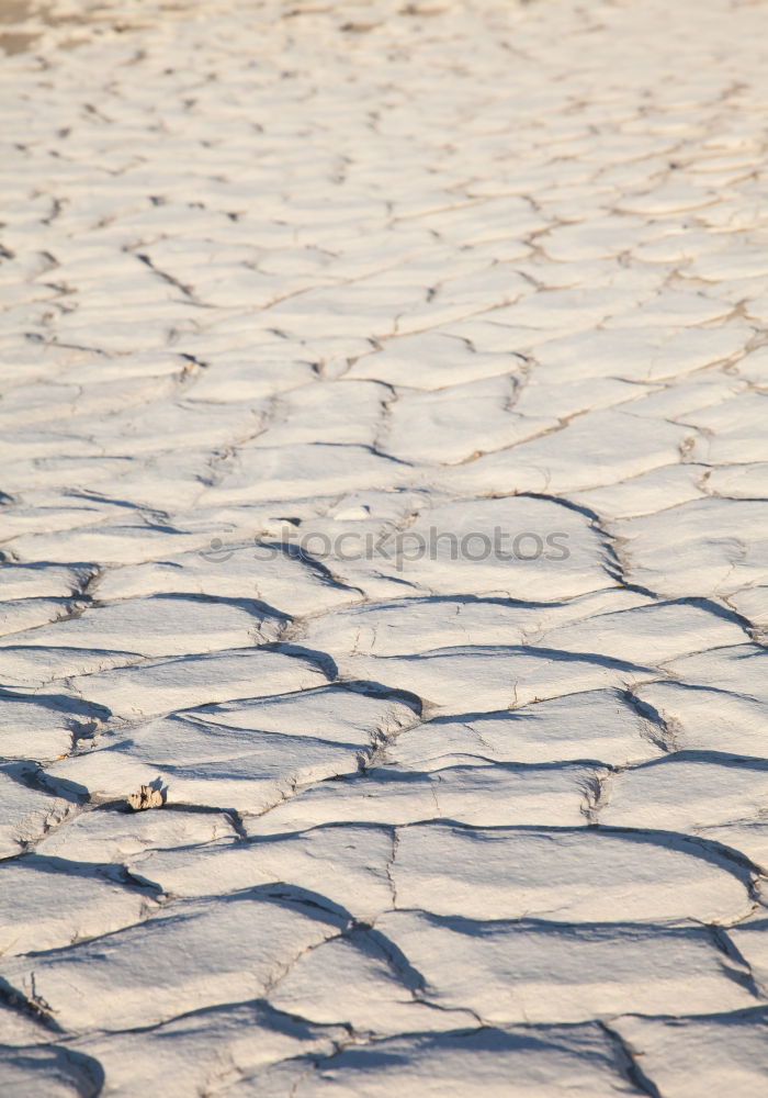 Similar – Image, Stock Photo slippery fantasy world