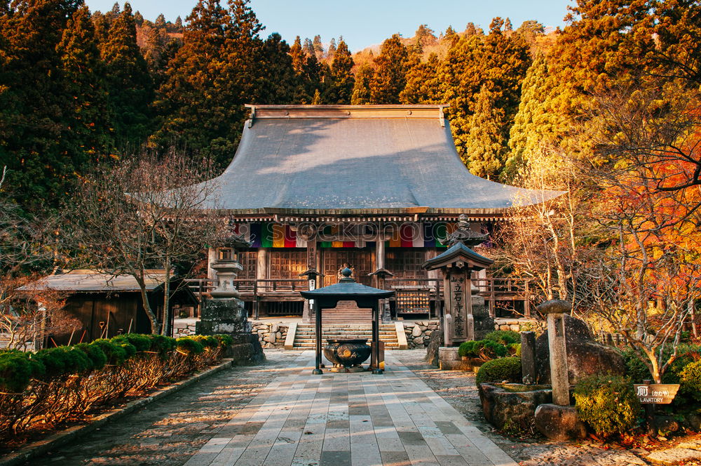 Similar – Traditional Asian building in forest