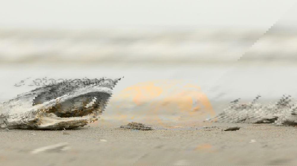 Similar – Foto Bild Maritim ruhig
