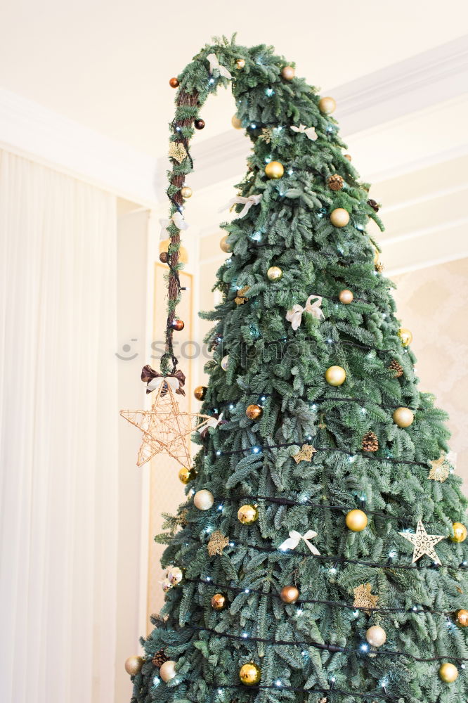 Similar – Image, Stock Photo Christmas is through Tree