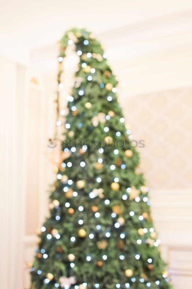 Similar – Image, Stock Photo Christmas is through Tree