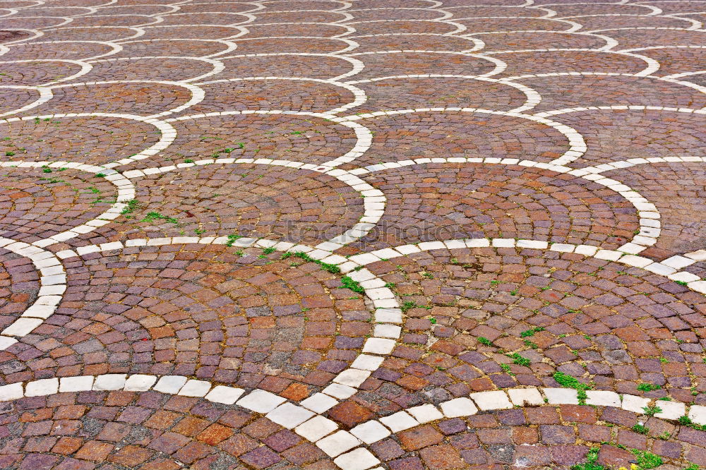 Similar – Image, Stock Photo arrow Footpath Sidewalk