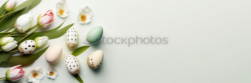 Similar – Image, Stock Photo tulip leaves Leaf Faded