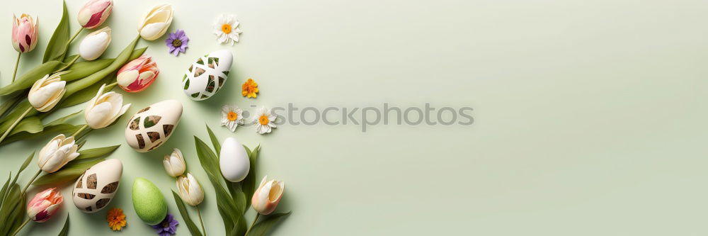 Similar – Image, Stock Photo Tulips bouquet red green orange