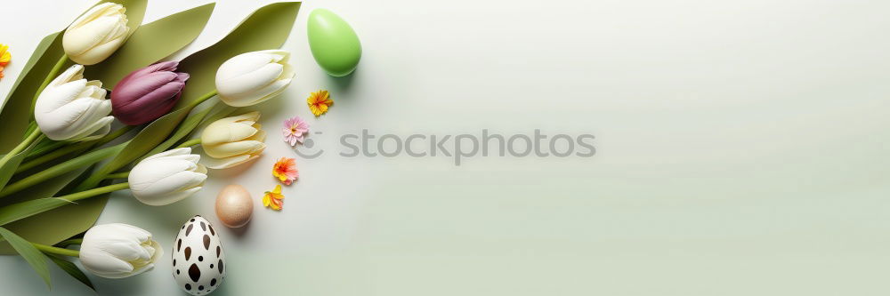 Wet Pink Tulip Flowers In Vase