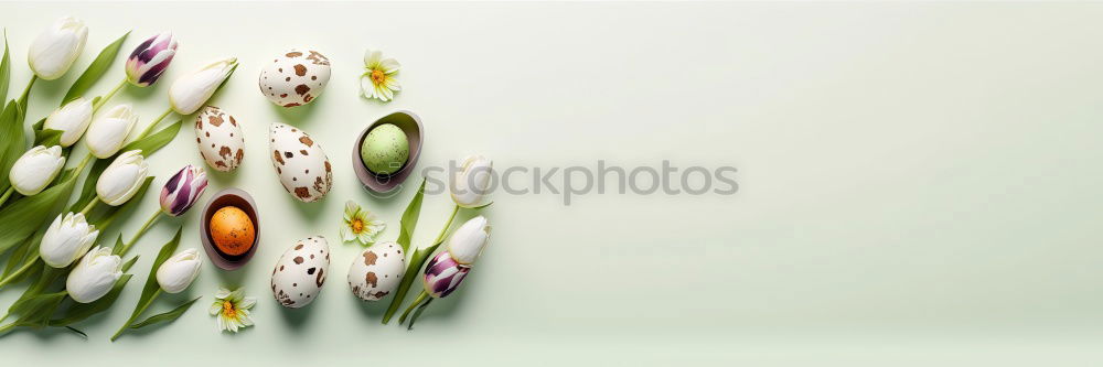 Similar – Image, Stock Photo tulipe #3 Tulip Flower