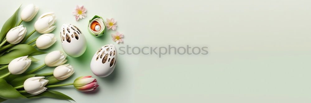 Similar – Image, Stock Photo tulipe #3 Tulip Flower