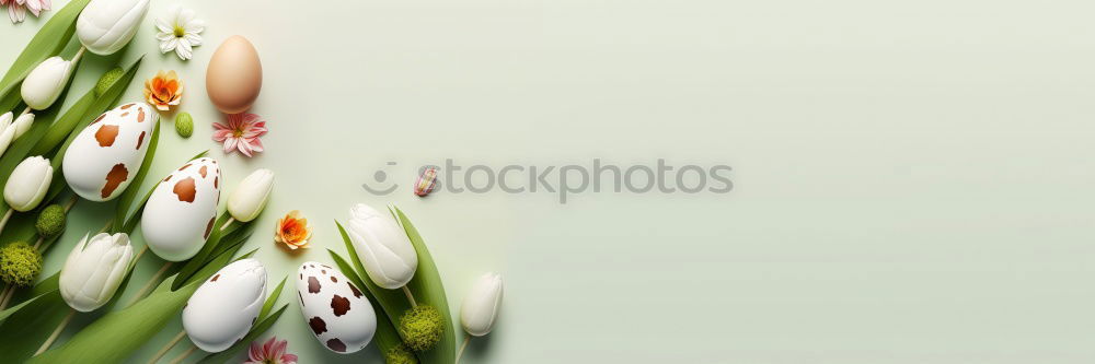 Similar – Image, Stock Photo cactus Cactus Green Plant