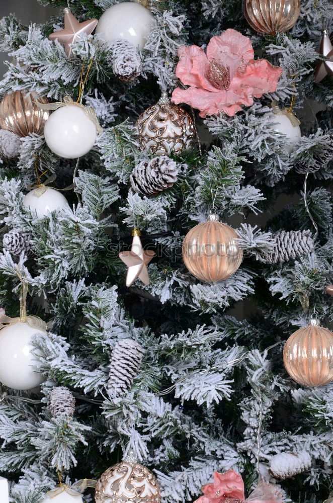 Similar – Rustic, beautiful Christmas decoration with twigs and a Christmas tree ball, on an old vintage table in winter during the Advent season. Christmas decorations with flower pot, tea light, glass vase, plants, cuttings on old stove, outside in the cold, icy garden.