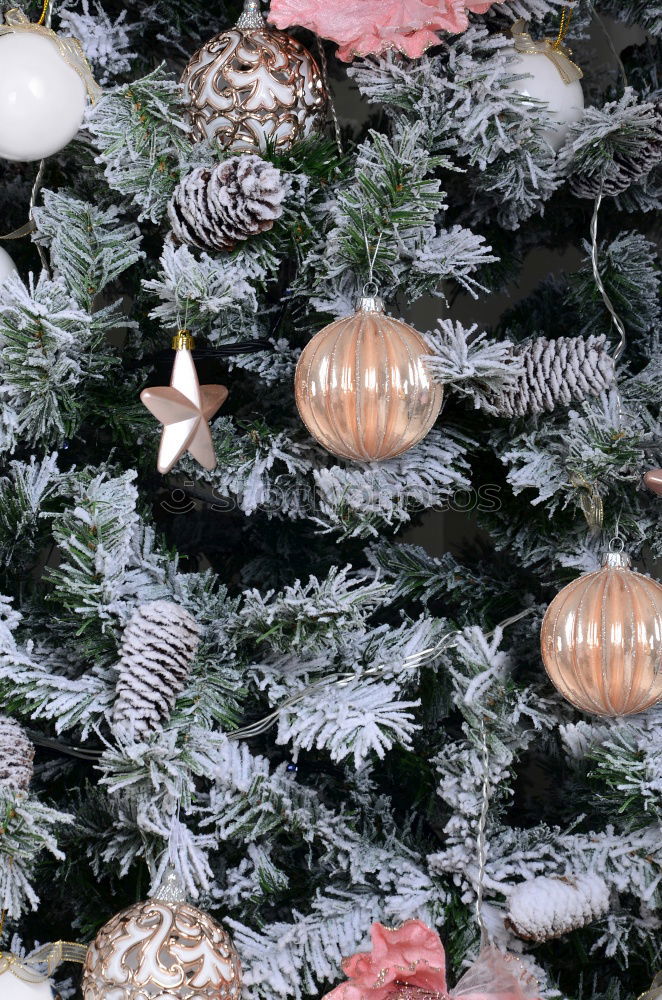 Similar – Rustic, beautiful Christmas decoration with twigs and a Christmas tree ball, on an old vintage table in winter during the Advent season. Christmas decorations with flower pot, tea light, glass vase, plants, cuttings on old stove, outside in the cold, icy garden.