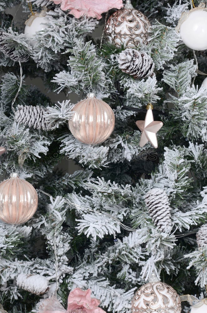 Similar – Rustic, beautiful Christmas decoration with twigs and a Christmas tree ball, on an old vintage table in winter during the Advent season. Christmas decorations with flower pot, tea light, glass vase, plants, cuttings on old stove, outside in the cold, icy garden.