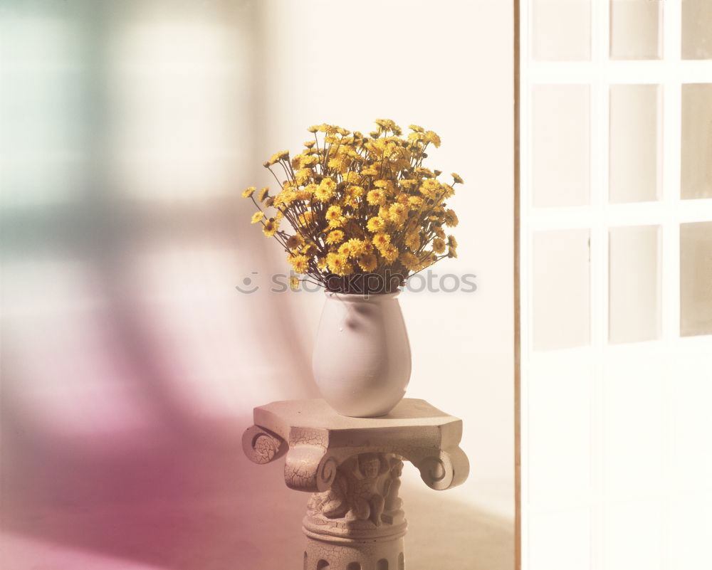 Similar – Purple flowers in front of pink garden furniture