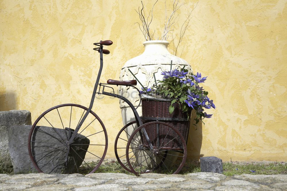 Similar – Image, Stock Photo Vintage bicycle with flower