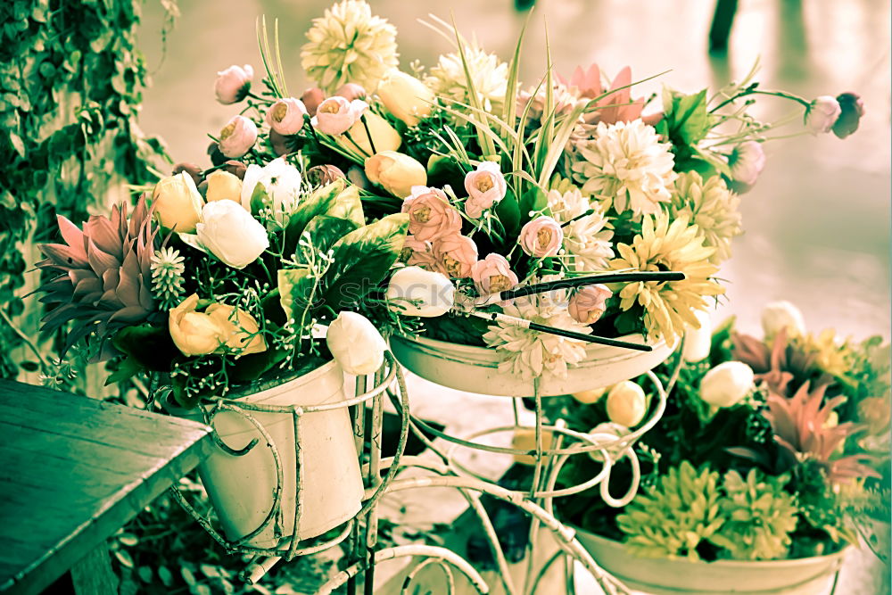 Similar – Image, Stock Photo Vintage bicycle with flower