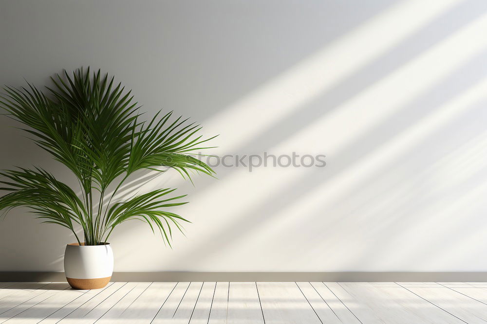 Similar – Image, Stock Photo #A# houseplant