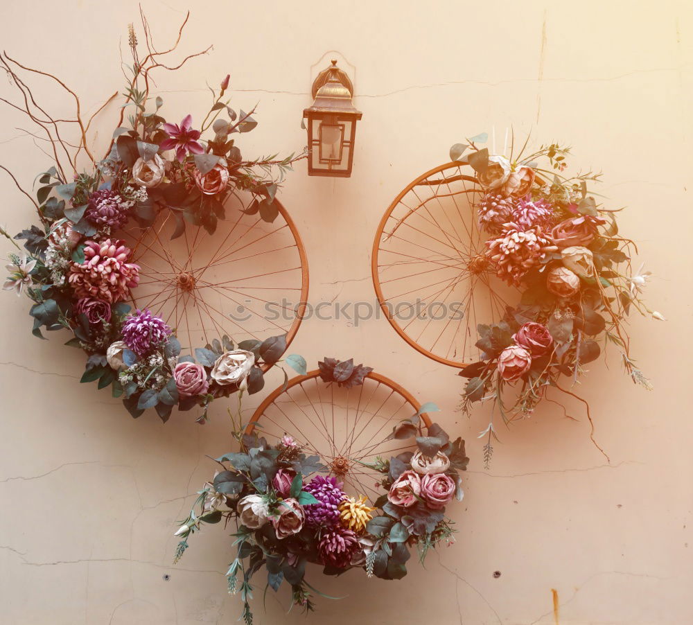 Similar – Image, Stock Photo Vintage bicycle with flower