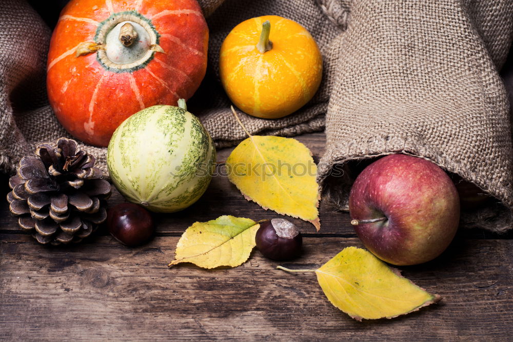 Similar – Image, Stock Photo Autumn apples and pumpkins