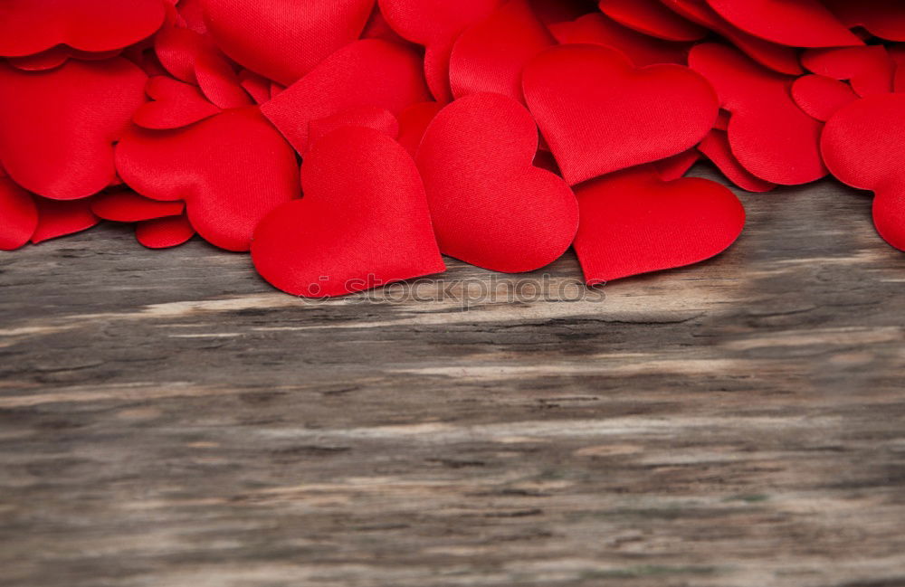 Similar – Beautiful red poinsettia